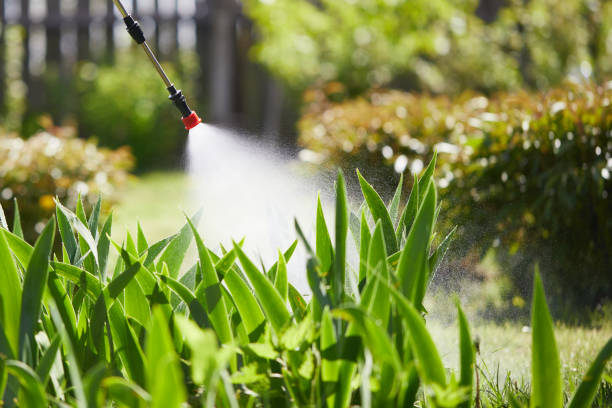 24/7 Emergency Mosquito Control experts in Hilo, HI