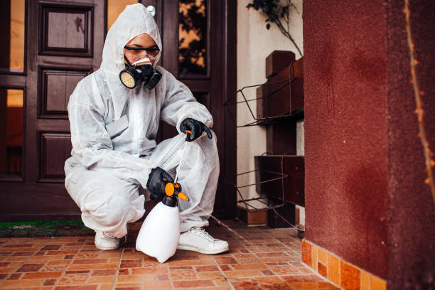 Reliable Mosquito Control contractor in Hilo, HI by Show Me Pest Control