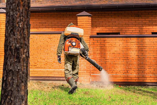 Top rated local Mosquito Control specialists in Hilo, HI